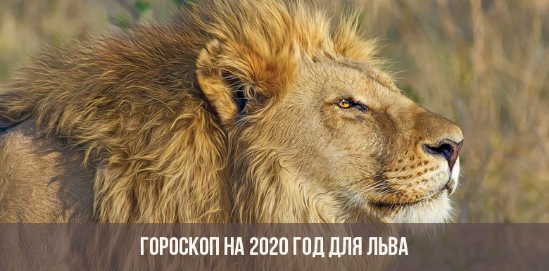 Гороскоп на 2020 год для Льва