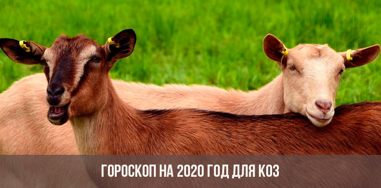 Гороскоп на 2020 год для коз