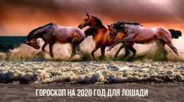 Гороскоп на 2020 год для Лошадей