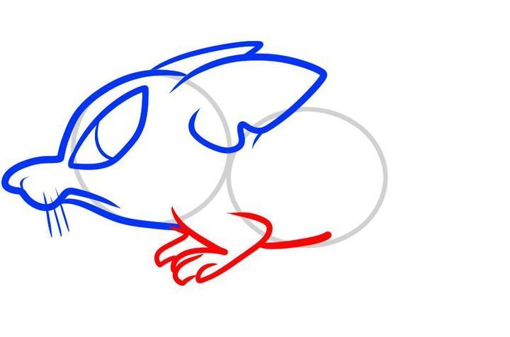 Как нарисовать крысу пошагово