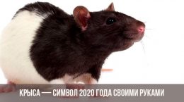 Как сделать Крысу символ 2020 года своими руками