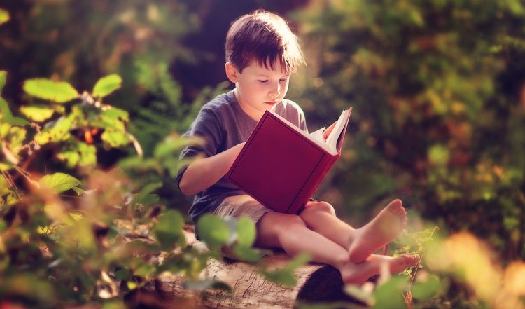 Мальчик читает в лесу