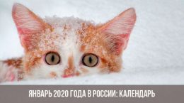 Январь 2020 года в России: календарь, праздники, выходные