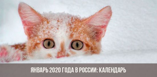 Январь 2020 года в России: календарь, праздники, выходные