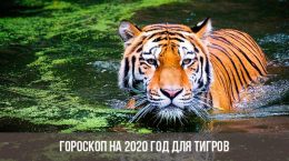Гороскоп на 2020 год для Тигров