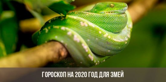 Гороскоп на 2020 год для Змей