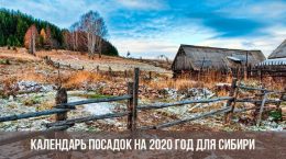 Календарь посадок 2020 год для Сибири