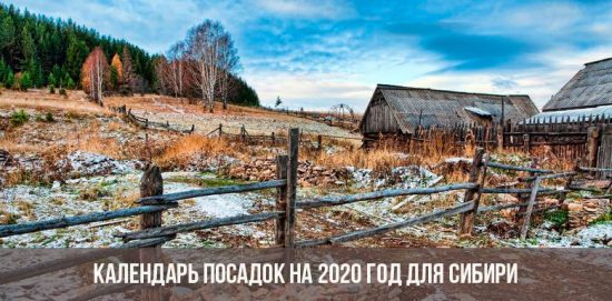 Календарь посадок 2020 год для Сибири