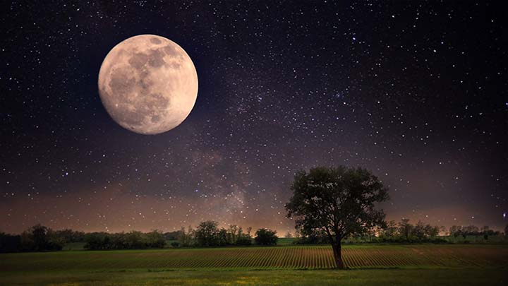 полная луна над полем