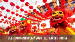 Вьетнамский Новый 2020 год