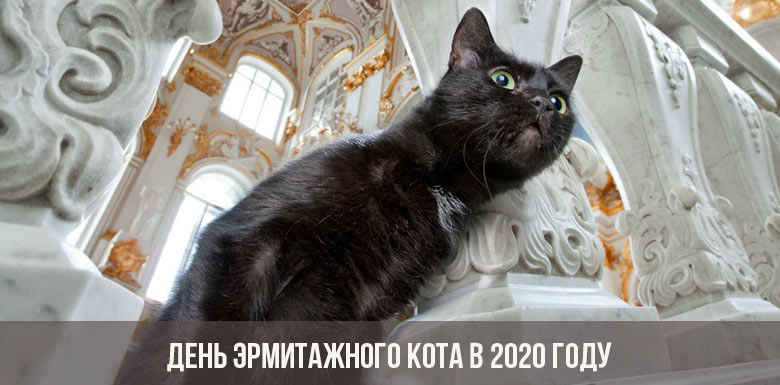 День эрмитажного кота в 2020 году