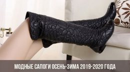 Модные сапоги осень-зима 2019-2020 года