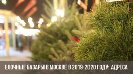 Елочные базары в Москве в 2019-2020 году: адреса