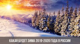 Какая будет зима 2019-2020 года в России