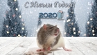 Символ 2020 года - Крыса
