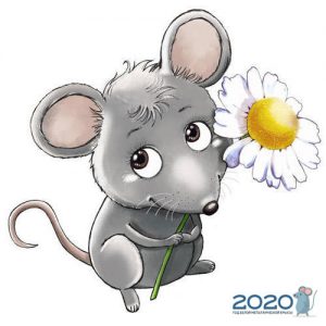 Крыса с ромашкой - картинка на 2020 год