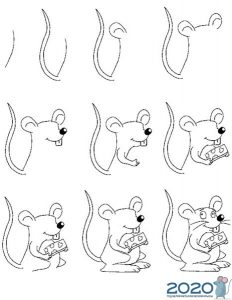 Рисуем крысу - пошаговая инструкция