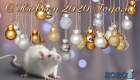 Новый Год 2020 - год Крысы