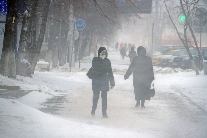 Зима на Кубани в феврале