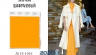 Цвет Шафрановый / Saffron (№14-1064) палитра Пантон весна-лето 2020