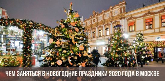 Чем заняться в новогодние праздники 2020 года в Москве